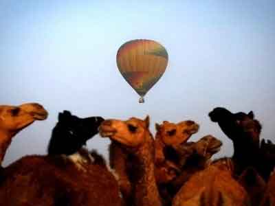 Hot air Balloon Ride Pushkar