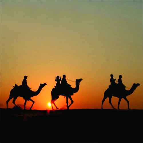 Viajes Rajasthan Navidad